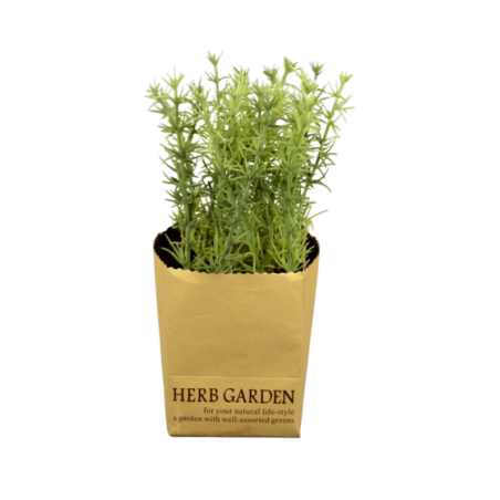 Herb Garden Seeds For Planting